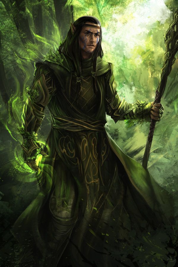 Male druid with staff