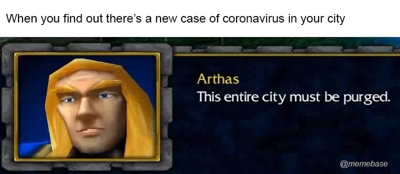 Warcraft meme - Arthas purges a diseased city