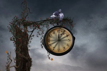 Clock on a tree in a field