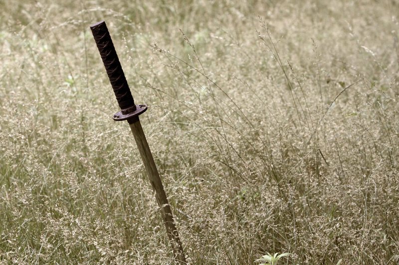 Sword fallen in a field.